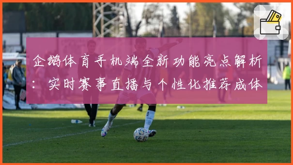 企鹅体育手机端全新功能亮点解析：实时赛事直播与个性化推荐成体验新宠