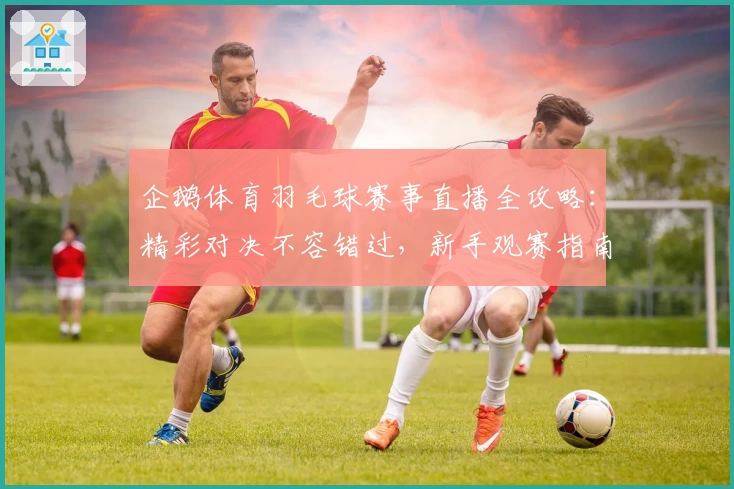 企鹅体育羽毛球赛事直播全攻略：精彩对决不容错过，新手观赛指南奉上