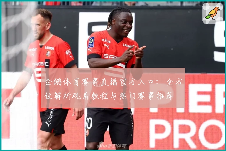 企鹅体育赛事直播官方入口：全方位解析观看教程与热门赛事推荐