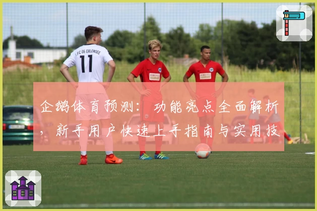 企鹅体育预测：功能亮点全面解析，新手用户快速上手指南与实用技巧教程