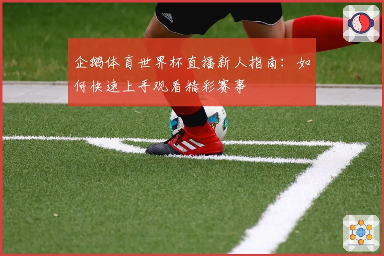 企鹅体育世界杯直播新人指南:如何快速上手观看精彩赛事