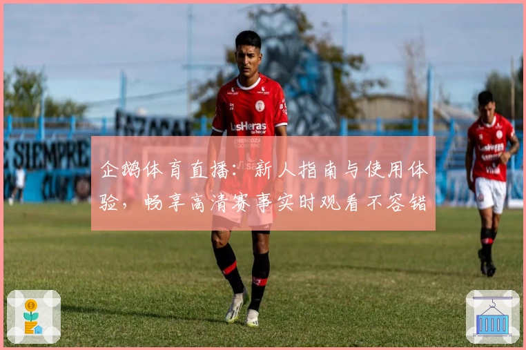 企鹅体育直播：新人指南与使用体验，畅享高清赛事实时观看不容错过