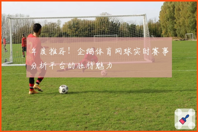 年度推荐！企鹅体育网球实时赛事分析平台的独特魅力